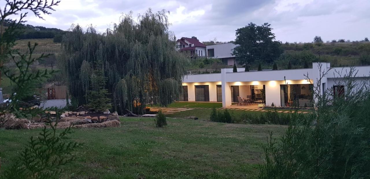 La Salcia Din Padure Apartman Gyulafehérvár Kültér fotó