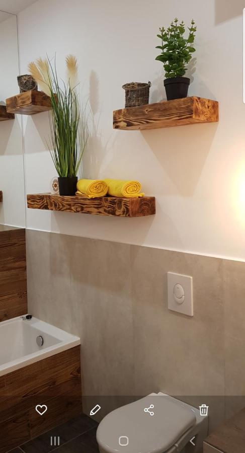 La Salcia Din Padure Apartman Gyulafehérvár Kültér fotó